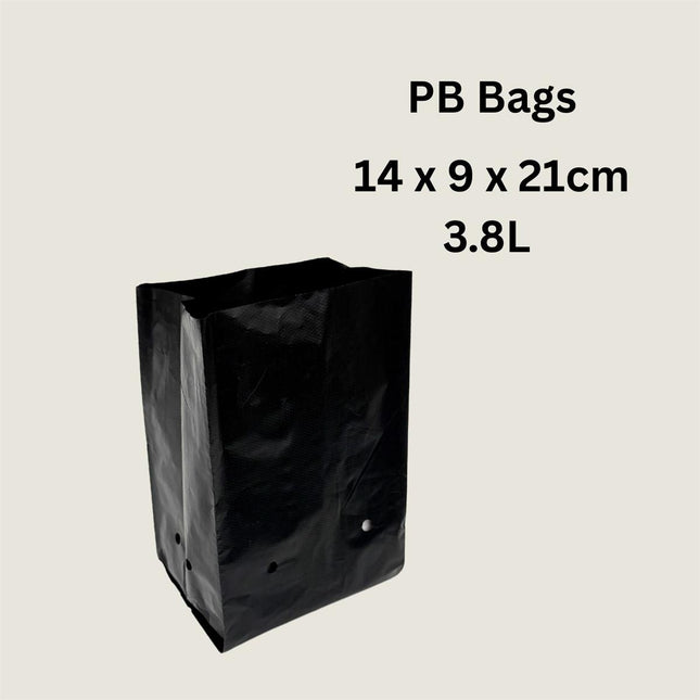 Planter Bag (pack of 100)