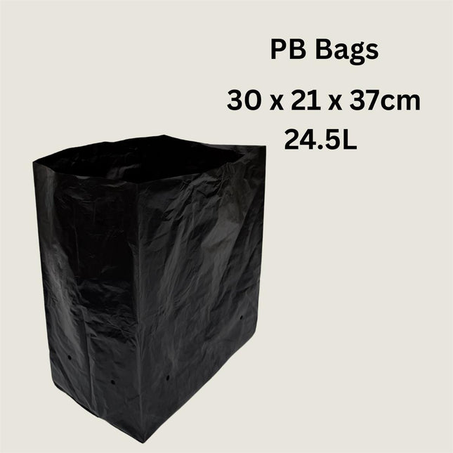 Planter Bag (pack of 100)