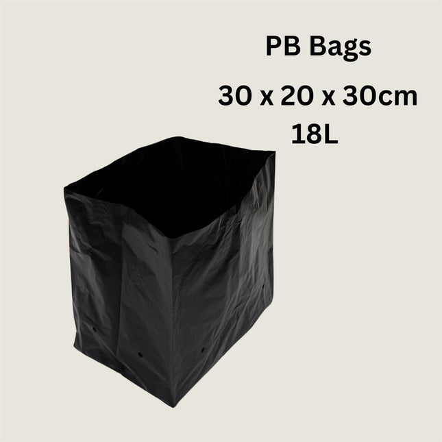 Planter Bag (pack of 100)